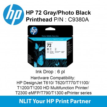 HP 72 Gray / Photo Black Printhead C9380A