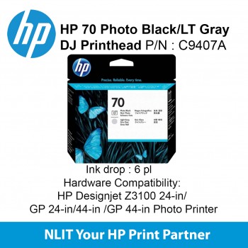 HP 70 Photo Black and LT Gray Printhead C9407A