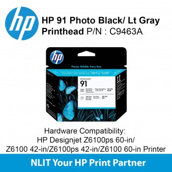 HP 91 Photo Black and Lt Gray Printhead C9463A
